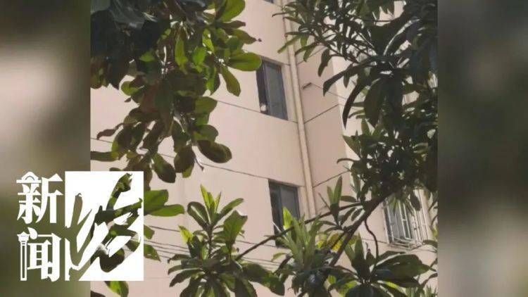 皇冠信用網登2代理
_被折磨到崩溃！上海一九旬老太每天定时“输出”皇冠信用網登2代理
，邻居被迫“魔法打魔法”
