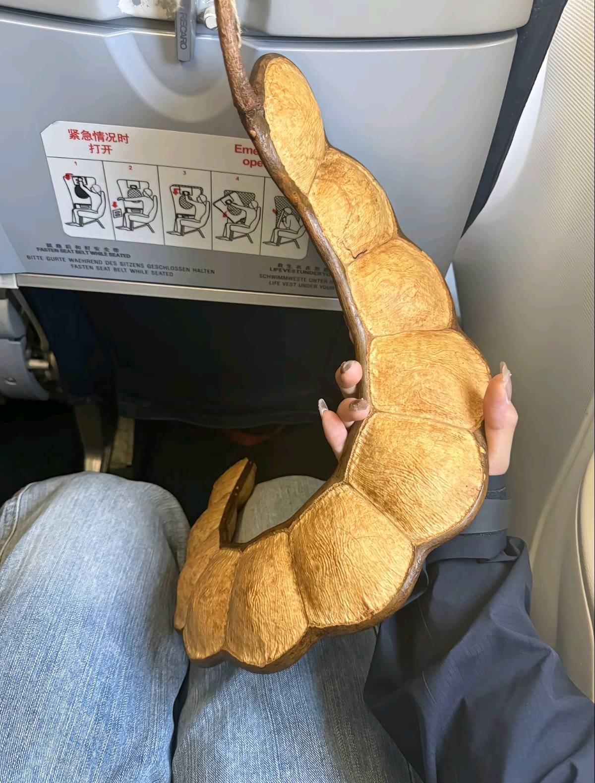 足球信用网平台 _女子带1米长巨大豆荚坐飞机回东北引围观足球信用网平台 ,本人称已跨越4000公里落地,机场客服:可随身携带